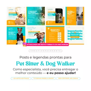 Imagem de capa para o Curso online PACK PARA PET SITTER E DOG WALKER