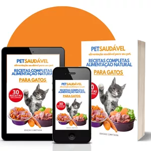 Imagem de capa para o Ebook GatoSaudável - Receitas Naturais e Saudáveis para seu Gato