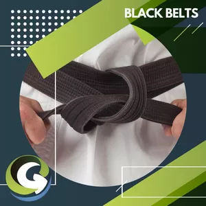 Imagem do curso LEAN SIX SIGMA - FORMAÇÃO BLACK BELTS 