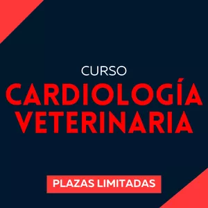 Imagen de portada para Curso online Curso de Cardiología Veterinaria