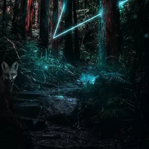 Imagem de capa para o Curso online Melhor Kit de Wallpapers HD