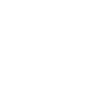 Nicolas Palacios logo