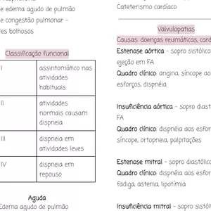 Imagem de capa para o Ebook Apostila 2 Método Clínico II 