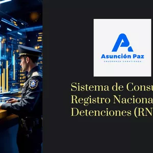 Imagen de portada para Curso online Consultas de personas detenidas