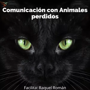 Imagen de portada para Curso online Taller Comunicación con Animales perdidos 