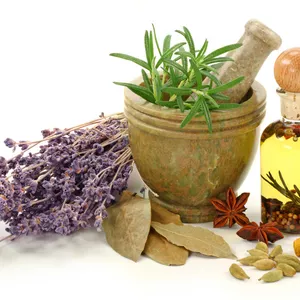 Imagen de portada para Ebook Introducción a la herboristeria, fitoterapia y aromaterapia