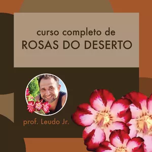 Imagem de capa para o Curso online Curso Completo de Rosas do Deserto [1]