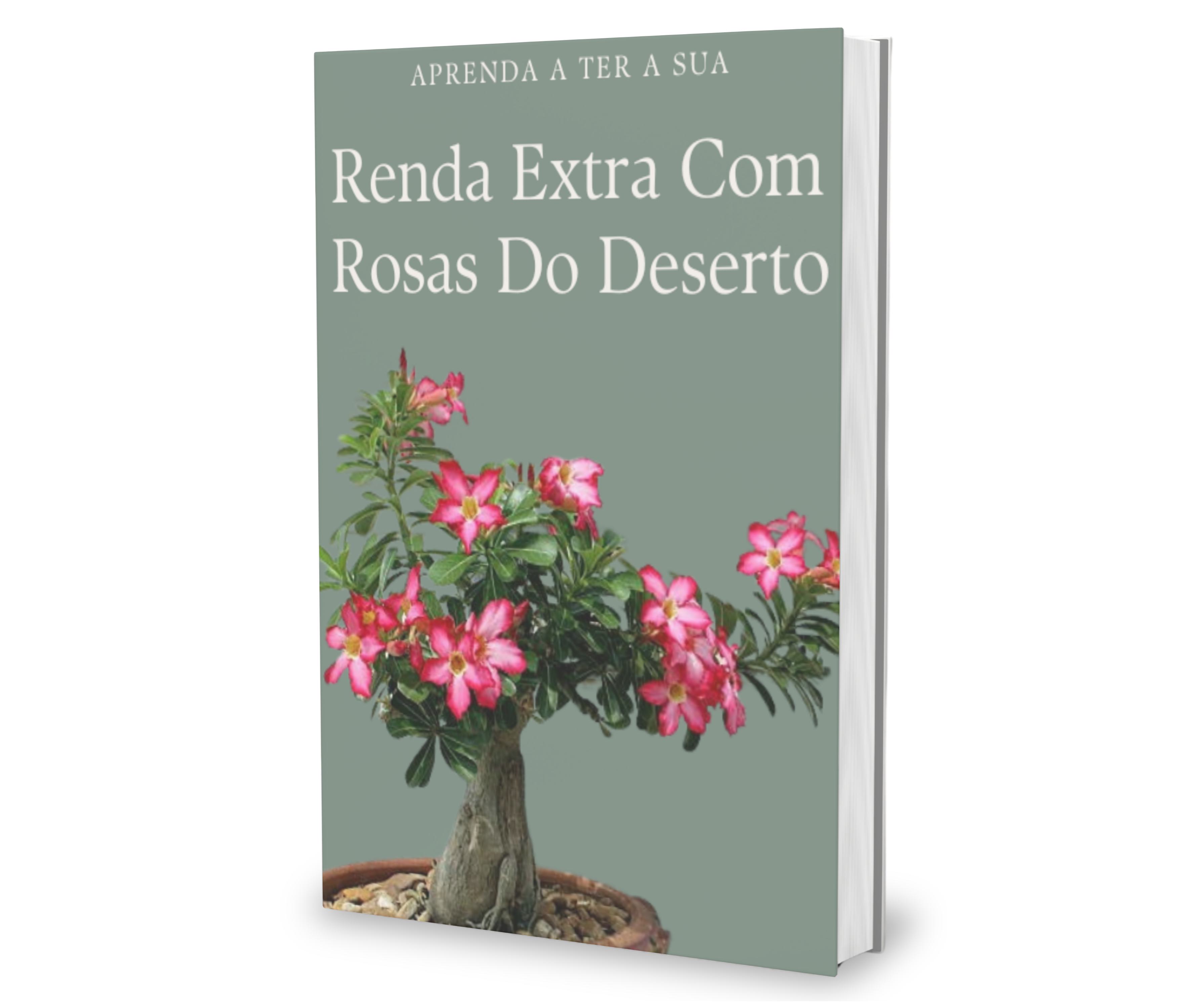 Imagem do curso RENDA EXTRA COM ROSAS DO DESERTO