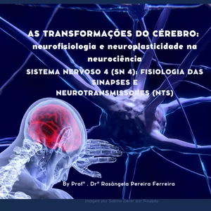 Imagem de capa para o Curso online Sistema Nervoso 4 (SN 4): Fisiologia das Sinapses e  neurotransmissores (NTs)