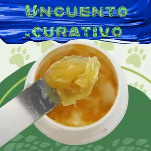 Cover image for Ebook Ungüento curativo