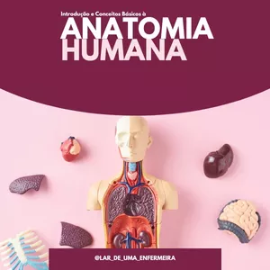 Imagem de capa para o Ebook Introdução e Conceitos Básicos à Anatomia Humana
