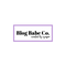 Blog Babe Co.