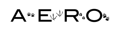 Olivia LoBalbo's School logo