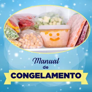 Imagem de capa para o Ebook Manual de Congelamento