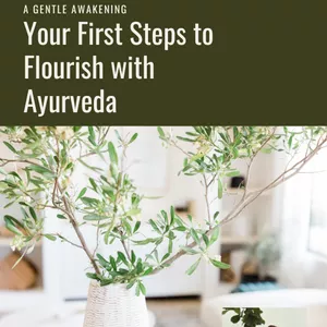 Cover image for Ebook A Gentle Awakening: Your First Steps to Flourish with Ayurveda