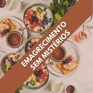 Imagem de capa para o Ebook Emagrecimento Sem Mistérios  