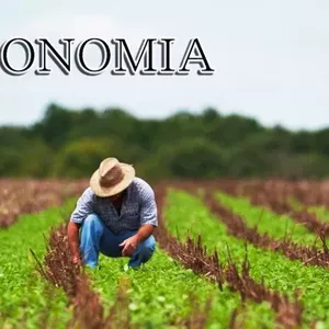 Imagem de capa para o Curso online AGRONOMIA