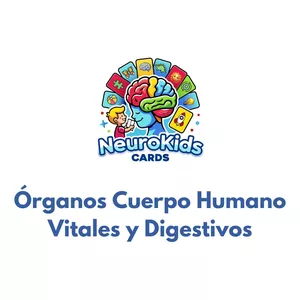Imagen de portada para Ebook Órganos Cuerpo Humano - Vitales y Digestivos