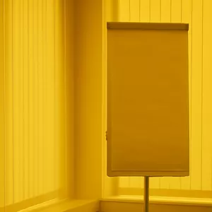 Cover image for Online course Complete Management Training From Basics to Strategy