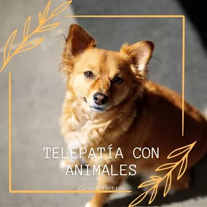 Imagen de portada para Ebook Telepatía con Animales - Guía Inicial