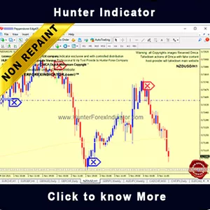 Cover image for Online course Forex Non Repaint Indicator HUNTER