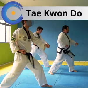Imagem de capa para o Curso online Aulas de Tae Kwon Do - Online