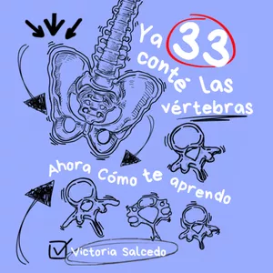 Imagen de portada para Curso online Ya conté las vértebras, ahora ¿cómo me aprendo?