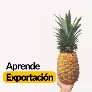 Imagen de portada para Curso online Curso - Ventas Internacionales (Exportaciones)