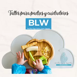 Imagen de portada para Curso online Taller BLW para Padres