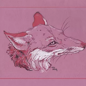 Imagen de portada para Curso online Ilustración Zorro