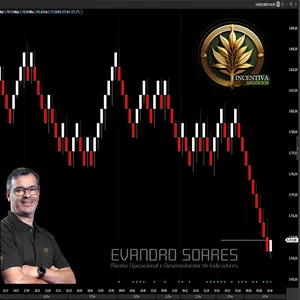 Imagem do curso Gráfico de RENKO Um operacional com alta taxa de acerto pra você ser profissional