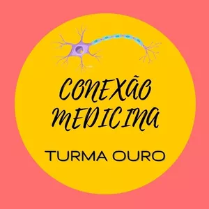 Imagem principal do produto CONEXÃO MEDICINA - TURMA OURO 