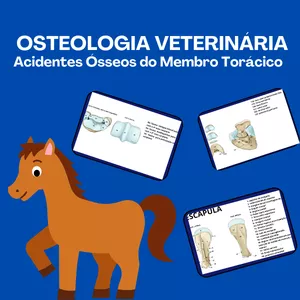 Imagem de capa para o Ebook Apostila Osteologia Veterinária | Membro Torácico