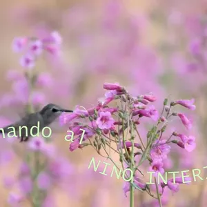 Imagen de portada para Curso online Sanación Niño Interior