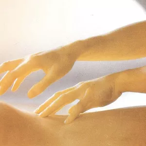 Imagen de portada para Ebook El Libro del Masaje