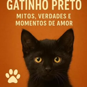 Imagem de capa para o Ebook O Encanto do Gatinho Preto