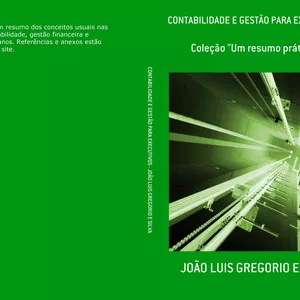 Imagem de capa para o Ebook Contabilidade e gestão para executivos