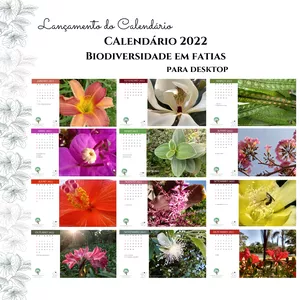 Imagem principal do produto Calendário 2022 - Biodiversidade Vegetal