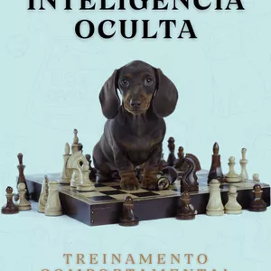 Imagen de portada para Curso online Adestramento Canino