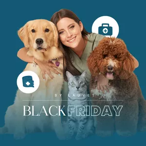 Imagen de portada para Curso online Black Friday by Lauvet Multiespecie 0411