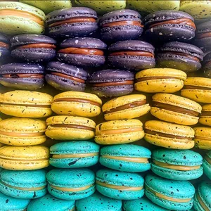 Imagem de capa para o Ebook Macarons Fácil &amp; Pratico