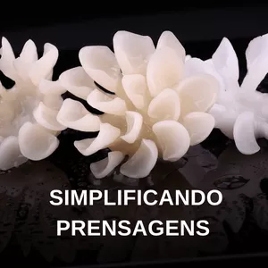 Imagem de capa para o Curso online Simplificando Prensagens