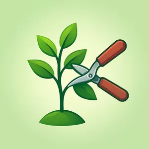 Imagen de portada para Curso online Corte Vivo 