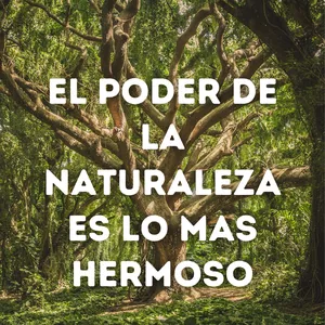 Imagen de portada para Curso online Tratamiento natural para el cuerpo