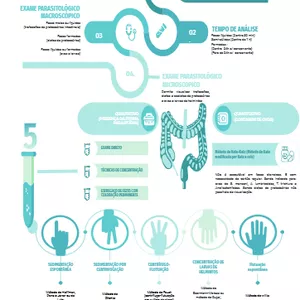 Imagem de capa para o Ebook Exame Parasitológico de Fezes/ Resumão Completo: Parasitologia Clínica 