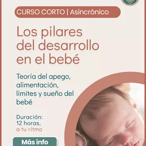 Imagen de portada para Curso online Los Pilares del Desarrollo en el bebé: Teoría del apego, alimentación, límites y sueño del bebé