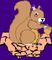 Squirrelinhands