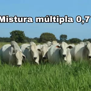Imagem de capa para o Ebook Mistura Múltipla 