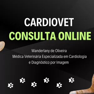 Imagem de capa para o Serviço online Cardiovet Consulta Online - Teleconsulta