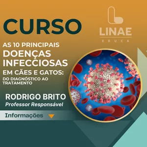 Imagem de capa para o Curso online As 10 principais doenças infecciosas em Cães e Gatos: do diagnóstico ao tratamento